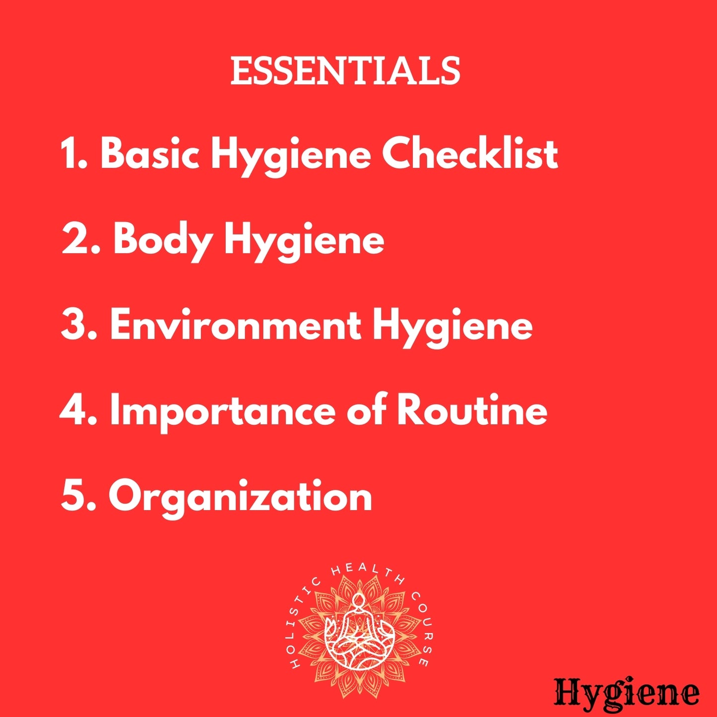 Holistic Health Essentials