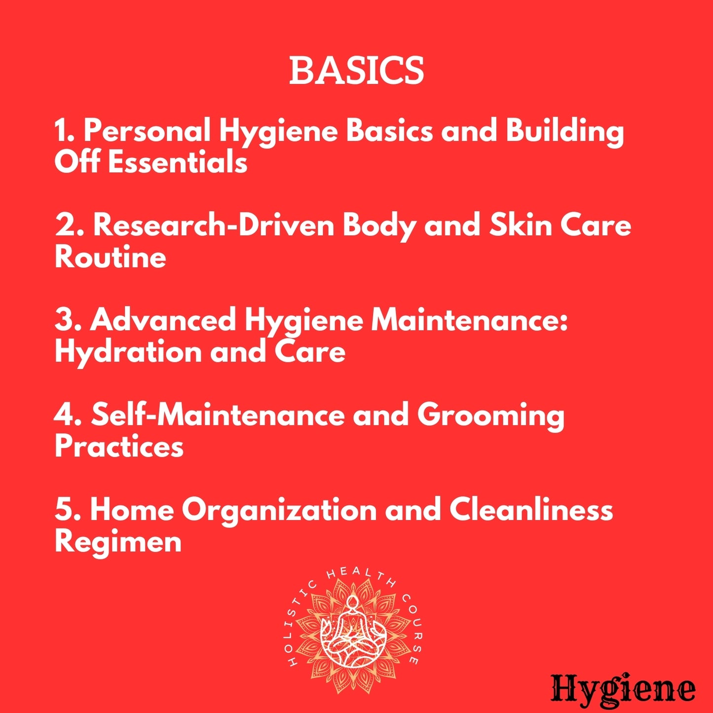 Holistic Health Basics